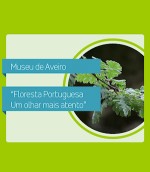 Floresta Portuguesa um olhar mais atento